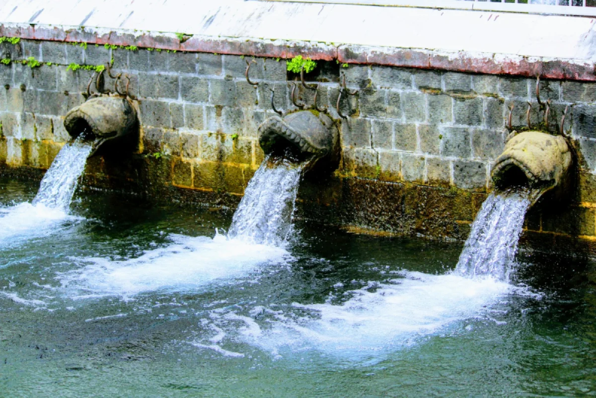 Раскрыта правда: Amazon втайне расходует миллионы литров воды