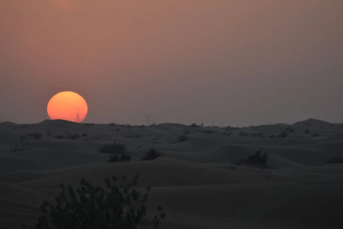 80% дата-центров мира работают в неподходящем климате: исследование