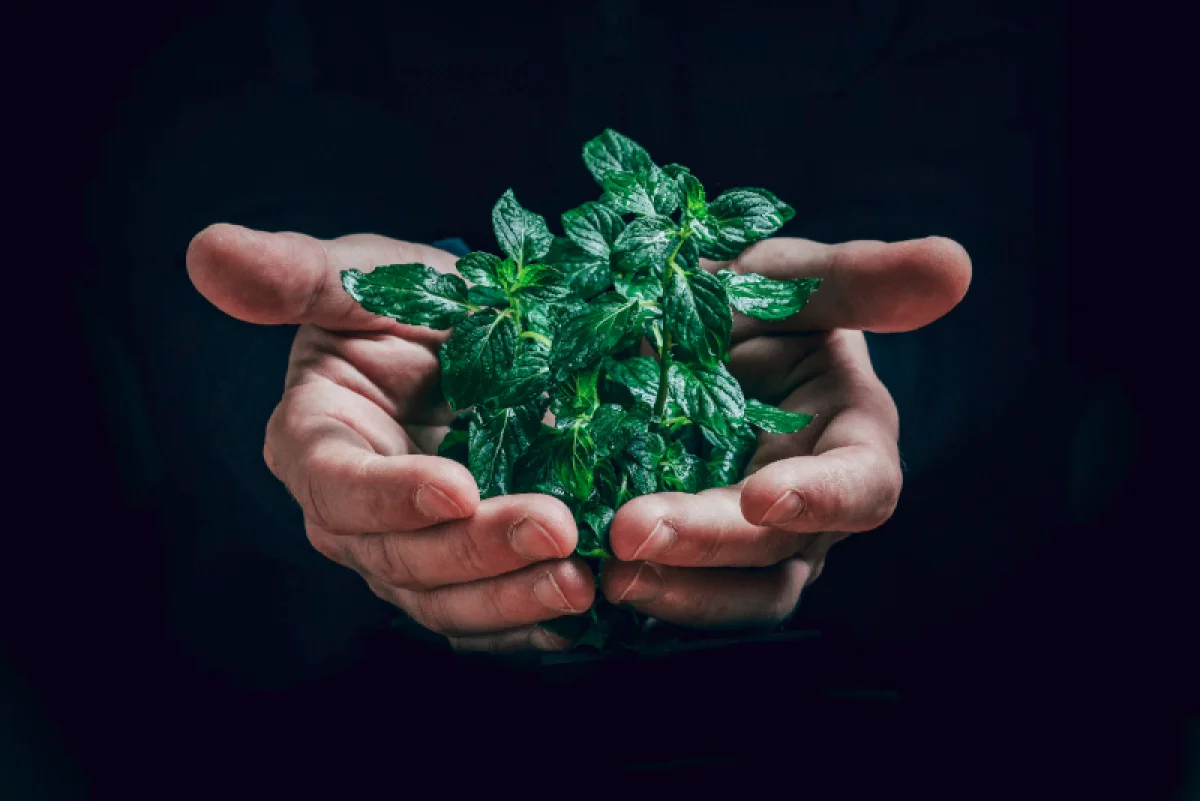  Источник изображения: Jan Kopřiva/unsplash.com 