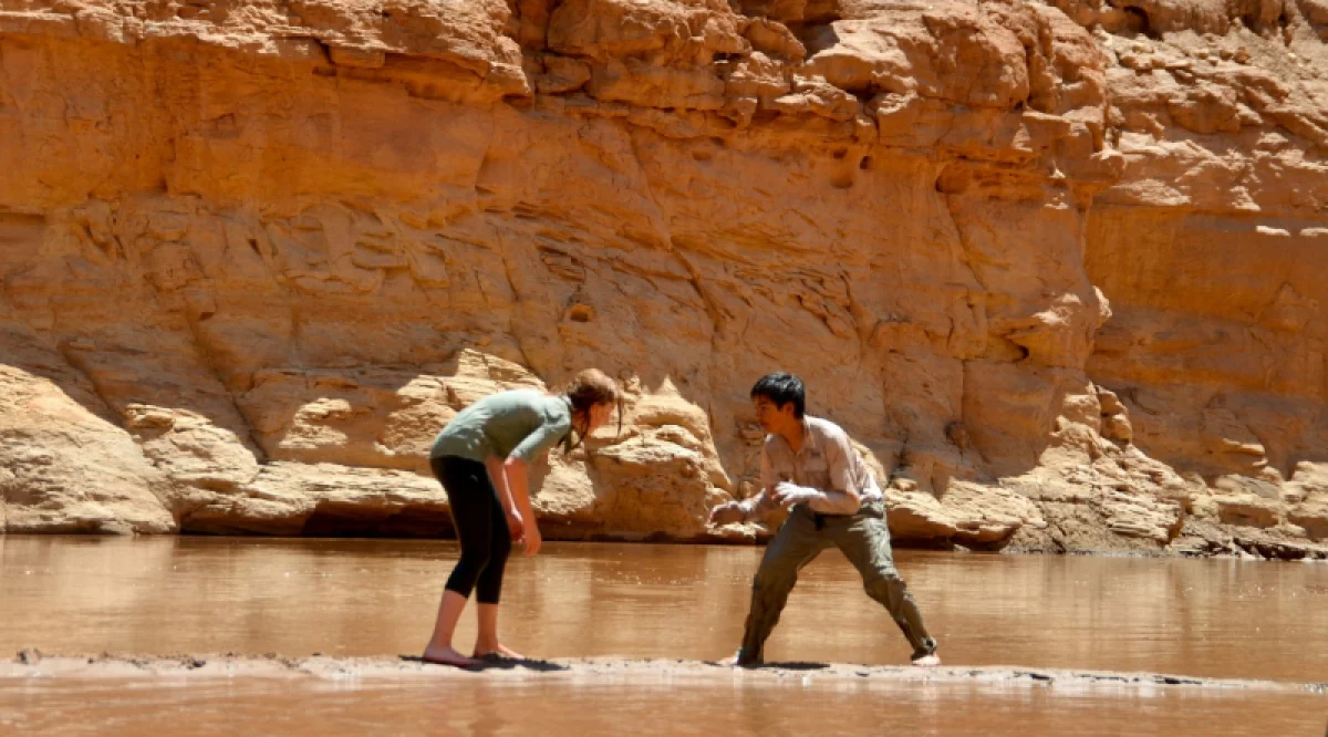 ИИ: почему США и Китай играют в разные игры, а не в одну гонку